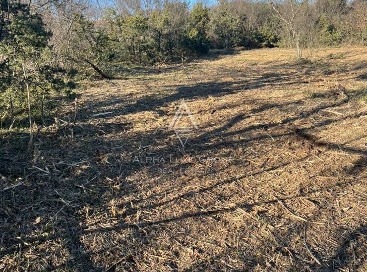 Istra, Rakalj : Građevinsko zemljište s pogledom na more — fotografija 5
