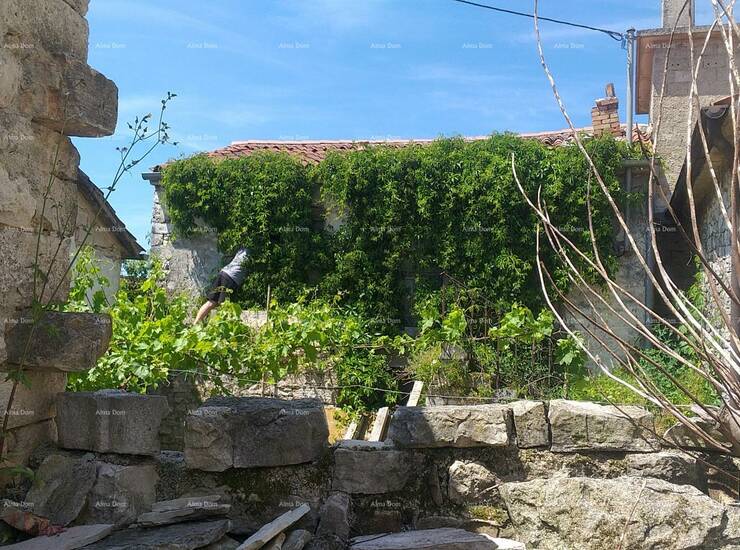 U mirnom i autentičnom istarskom mjestu Beram, nedaleko od Pazina, prodaje... — fotografija 6