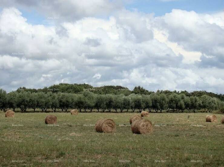TURISTIČKO GRAĐEVINSKO ZEMLJIŠTE 16.000 m², idealno za izgradnju hotela... — fotografija 2