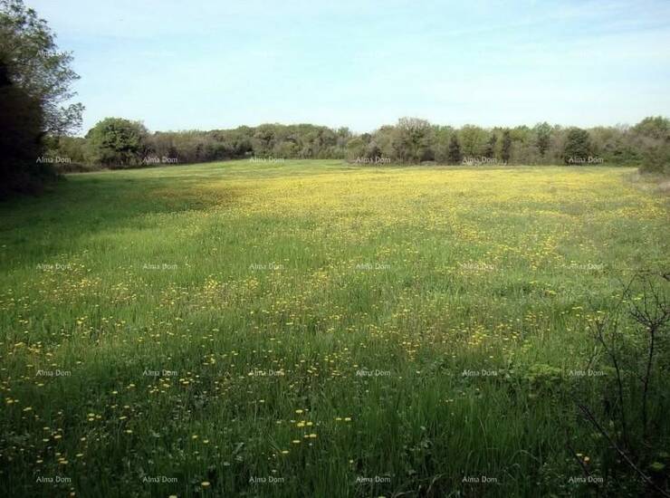 TURISTIČKO GRAĐEVINSKO ZEMLJIŠTE 16.000 m², idealno za izgradnju hotela... — fotografija 4