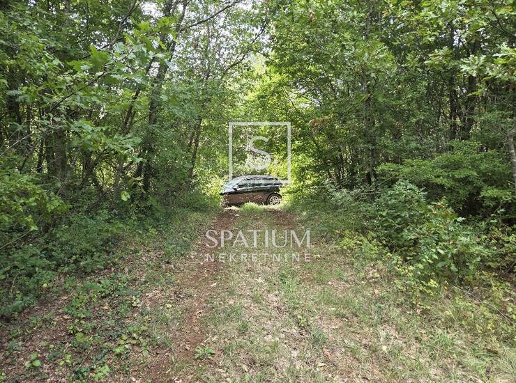 BARBAN, POLJOPRIVREDNO ZEMLJIŠTE BLIZU SELA — fotografija 6