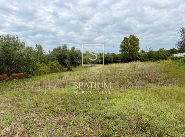 FONDOLE, POLJOPRIVREDNO ZEMLJIŠTE-INVESTICIJA UZ SAM RUB URBANIZIRANE ZONE  — fotografija 5