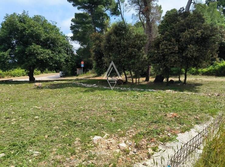 Istra : Građevinsko zemljište s dozvolom 300 m od mora — fotografija 5