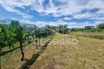 Zemljište Prodaja Buzet 1500 m2