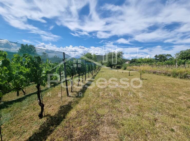 Zemljište Prodaja Buzet 1500 m2