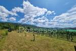 Zemljište Prodaja Buzet 1500 m2 — fotografija 2