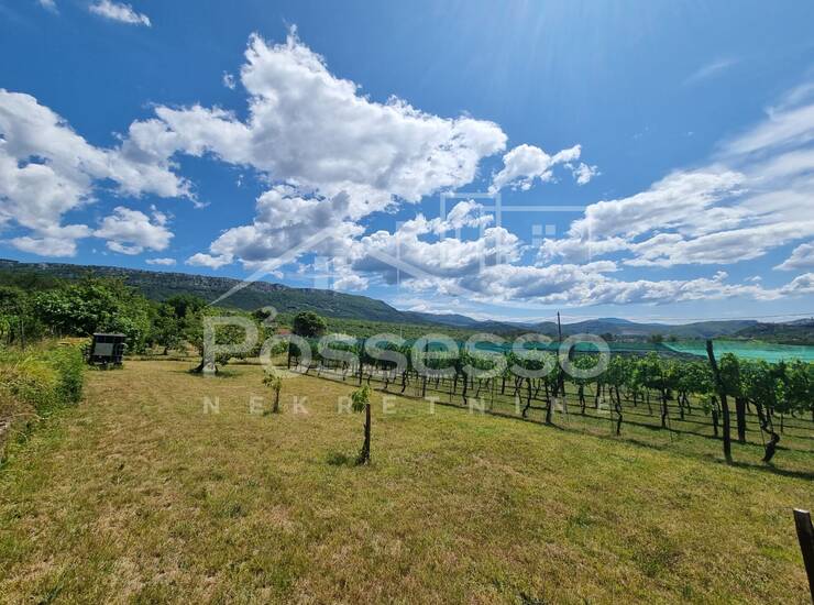 Zemljište Prodaja Buzet 1500 m2 — fotografija 2