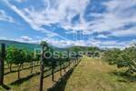 Zemljište Prodaja Buzet 1500 m2 — fotografija 3