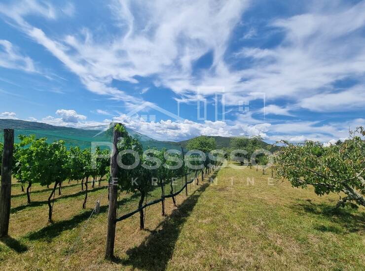 Zemljište Prodaja Buzet 1500 m2 — fotografija 3
