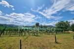 Zemljište Prodaja Buzet 1500 m2 — fotografija 4
