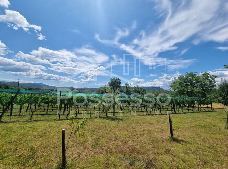 Zemljište Prodaja Buzet 1500 m2 — fotografija 4