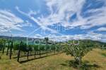Zemljište Prodaja Buzet 1500 m2 — fotografija 5