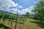 Zemljište Prodaja Buzet 1500 m2 — fotografija 6