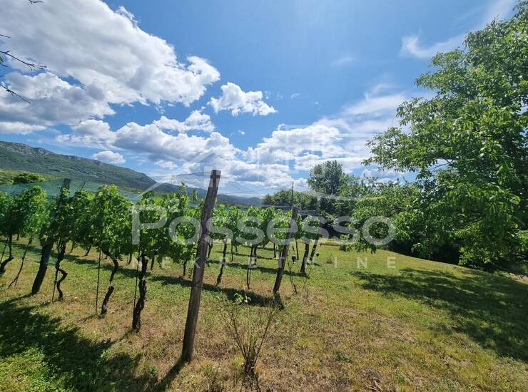 Zemljište Prodaja Buzet 1500 m2 — fotografija 6