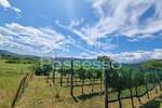 Zemljište Prodaja Buzet 1500 m2 — fotografija 7