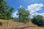 Zemljište Prodaja Buzet 1500 m2 — fotografija 9
