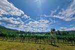 Zemljište Prodaja Buzet 1500 m2 — fotografija 10