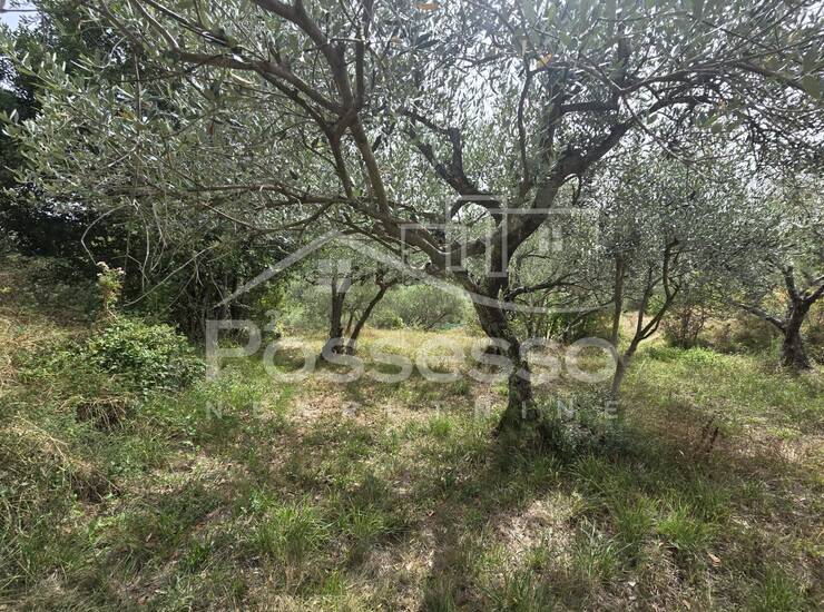 Kuća Prodaja Draguć 100 m2 — fotografija 4