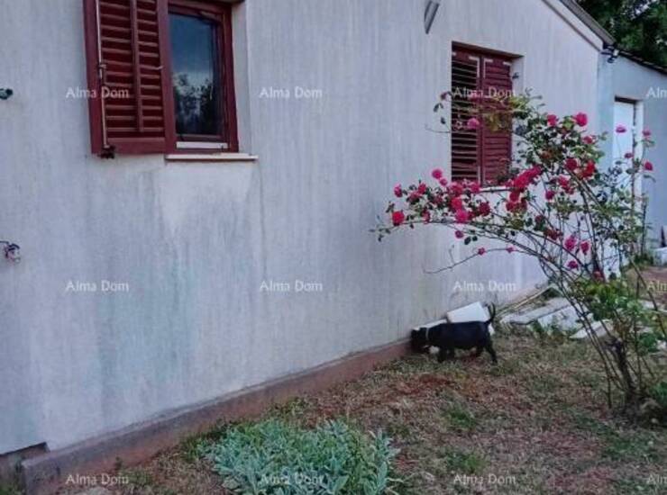 Prodaje se renovirana kuća površine 76 m², smještena na mirnoj i privat... — fotografija 7