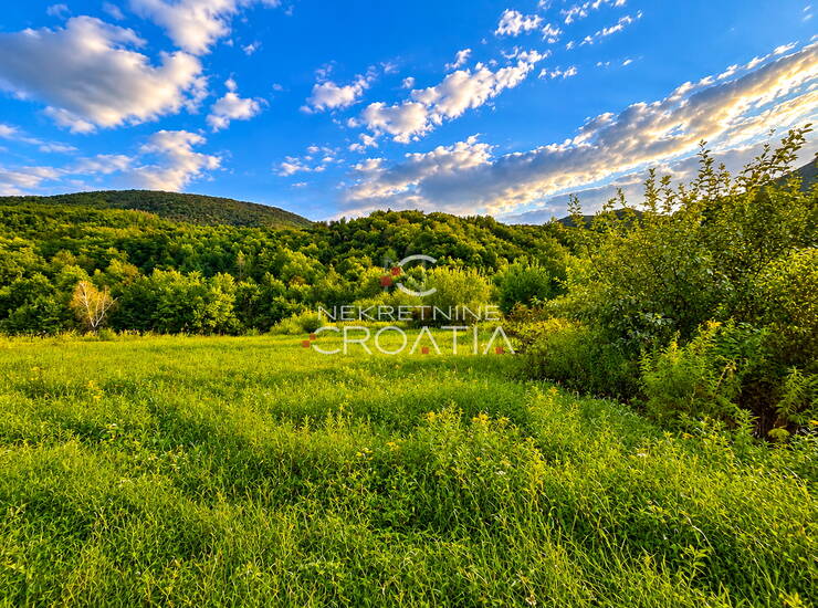 Građevinsko zemljište + šuma — fotografija 3