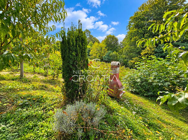 VINOGRAD , KLIJET I ŠUMA — fotografija 3