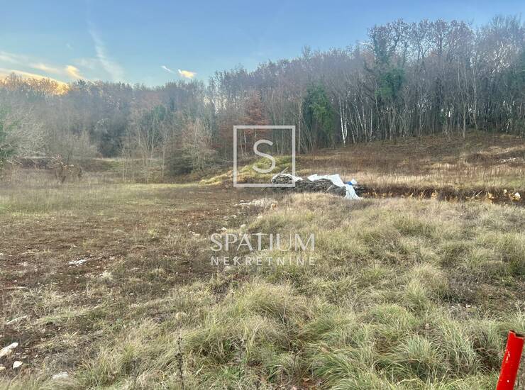 PIĆAN, ZEMLJIŠTE 3550 m2 SA PROJEKTOM KUĆE S BAZENOM — fotografija 2