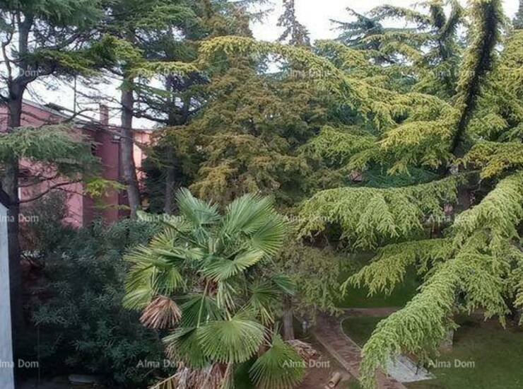 Prodaja stana u Novigradu!

Stan se nalazi u centru stare jezgre grada, smj... — fotografija 2