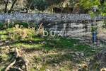 Rab, Supetarska Draga, zemjlište, 6.500 m2 — fotografija 4