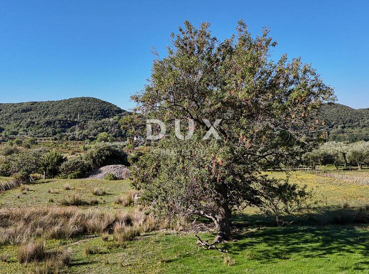 Rab, Supetarska Draga, zemjlište, 6.500 m2 — fotografija 6