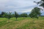 Prodaje se prekrasna obiteljska kuća površine 130 m², smještena u mirno... — fotografija 6