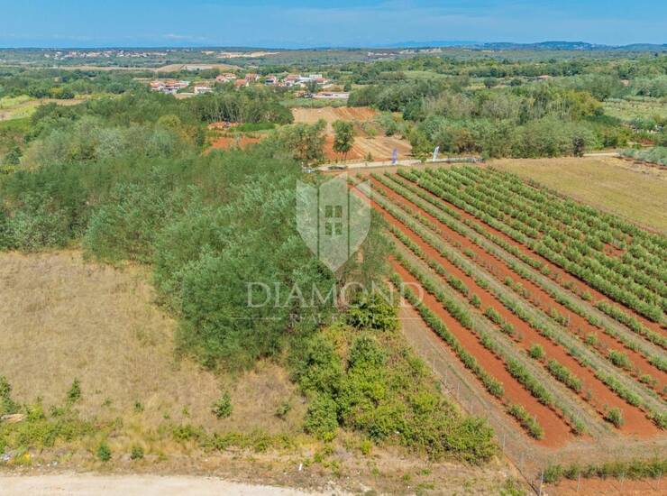 Umag, zemljište 4516 m² na odličnoj lokaciji! — fotografija 2