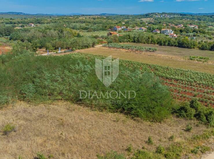 Umag, zemljište 4516 m² na odličnoj lokaciji! — fotografija 4
