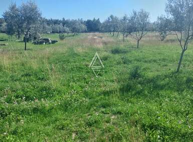Zemljiste, Vodnjan 13.979m² - 1 € | SveHrNekretnine