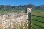Istra, Vodnjan : Ograđeni maslinik 13.979 m² — fotografija 4