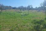 Istra, Vodnjan : Ograđeni maslinik 13.979 m² — fotografija 5