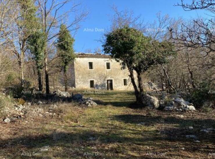 Na mirnom i iznimno privatnom položaju  smještena je rijetka nekretnina s... — fotografija 6