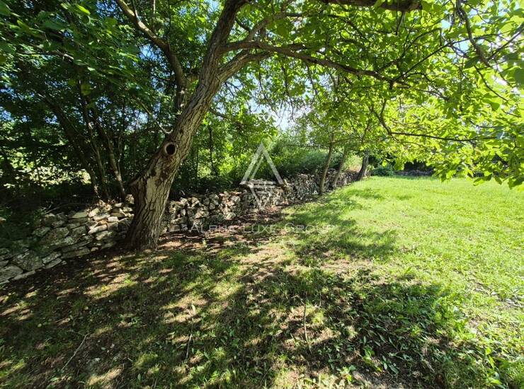 Istra, Kanfanar : Dva građevinska zemljišta sa starim zgradama — fotografija 3