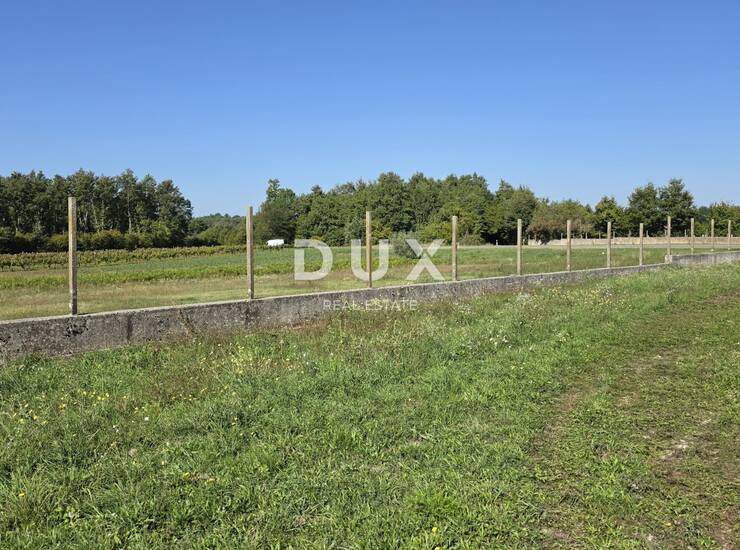 Barban, građevinsko zemljište 5.895 m² — fotografija 5