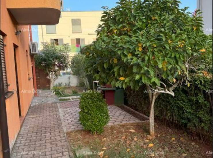 Na prodaju: Apartman u Novigradu s velikim vrtom.

Prodajemo apartman u Nov... — fotografija 4