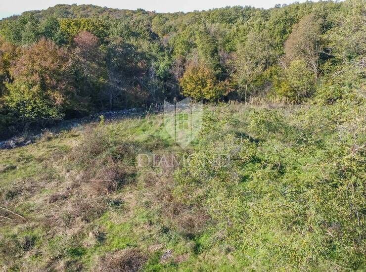 RAZVOJNI PROJEKT U ŠTINJANU – 12.646 m² građevinskog zemljišta — fotografija 3