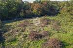 RAZVOJNI PROJEKT U ŠTINJANU – 12.646 m² građevinskog zemljišta — fotografija 4