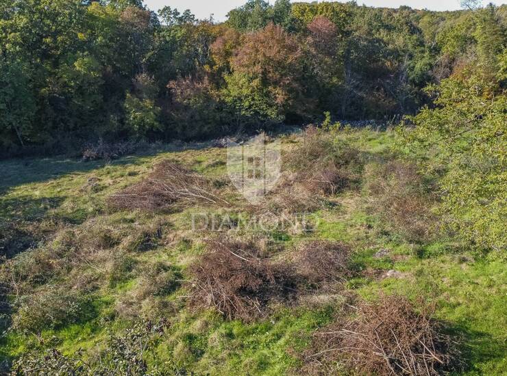 RAZVOJNI PROJEKT U ŠTINJANU – 12.646 m² građevinskog zemljišta — fotografija 4