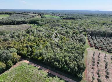 Zemljiste Kaštelir, Kaštelir-Labinci 13.182m² - 1 € | SveHrNekretnine