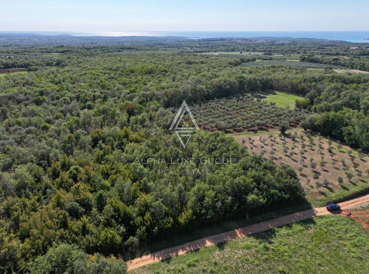 Istra, Kaštelir : Poljoprivredno zemljište 13.182 m² — fotografija 2