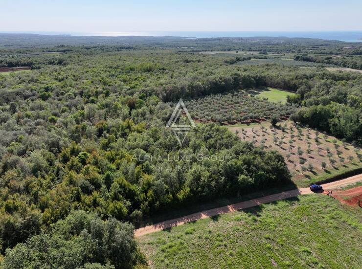Istra, Kaštelir : Poljoprivredno zemljište 13.182 m² — fotografija 3
