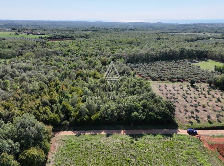 Istra, Kaštelir : Poljoprivredno zemljište 13.182 m² — fotografija 4