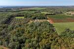 Istra, Kaštelir : Poljoprivredno zemljište 13.182 m² — fotografija 5