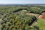 Istra, Kaštelir : Poljoprivredno zemljište 13.182 m² — fotografija 6