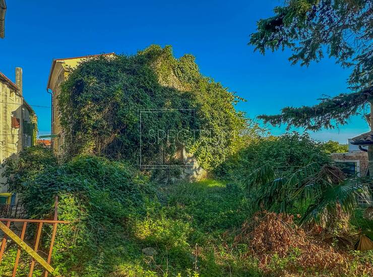 Momjan, autohtona kuća za adaptaciju  — fotografija 2