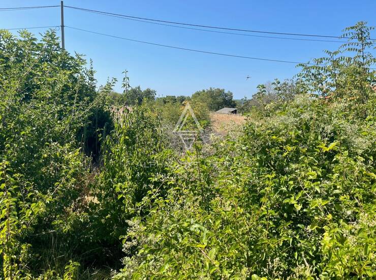 Tri prekrasna zemljišta s projektom u gotovo netaknutoj prirodi — fotografija 4